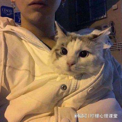 天才训练师游戏下载